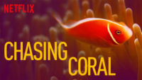 Chasing Coral Netflix / Moreflix.dk