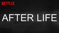 After Life Ricky Gervais Netflix / Moreflix.dk